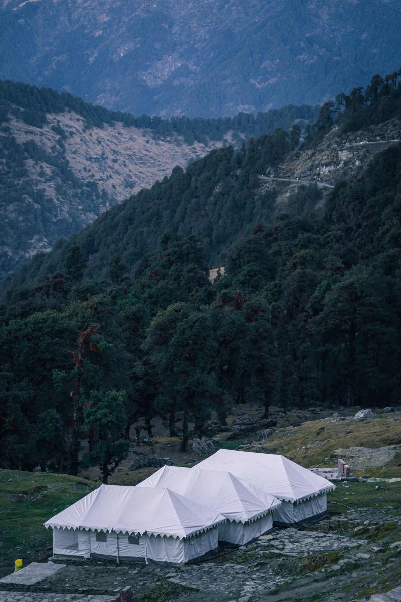 Safari Tent